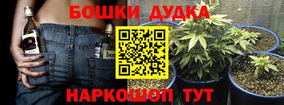 молекула духа Ливны