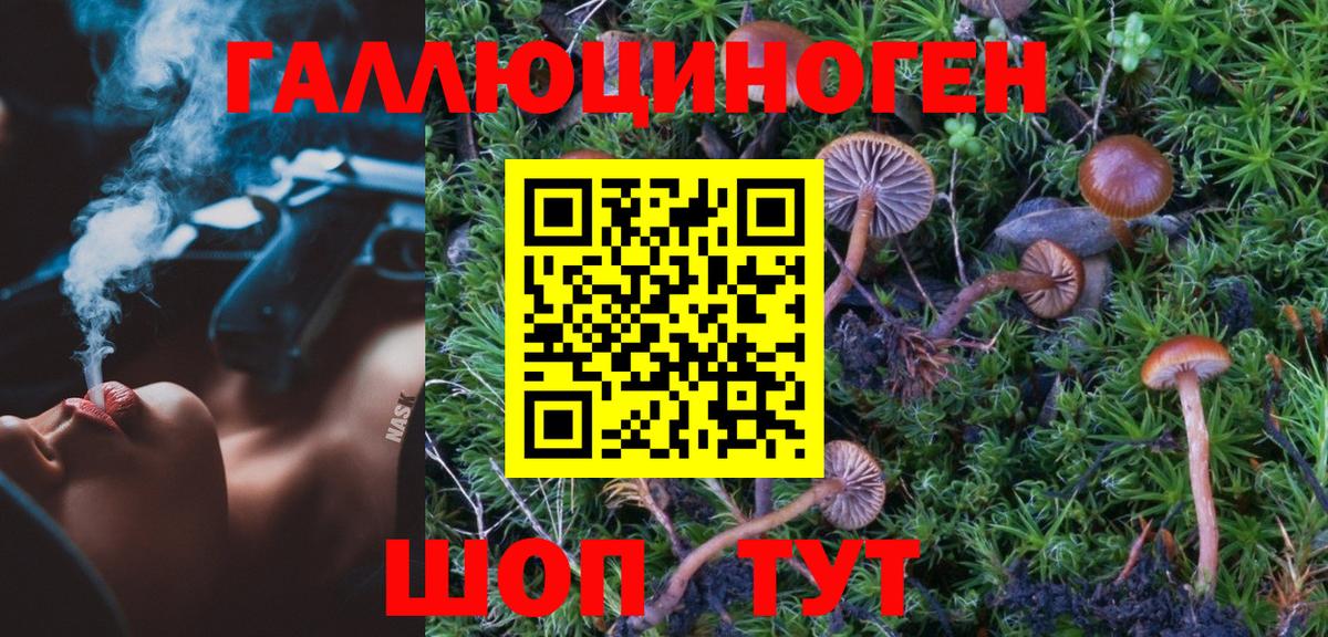 Галлюциногенные грибы MAGIC MUSHROOMS Великий Новгород