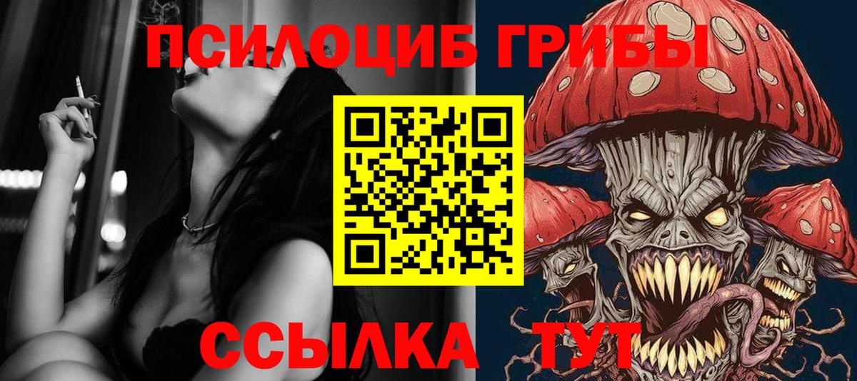 Великий Новгород  Псилоцибиновые грибы Magic Shrooms  Вход с VPN 